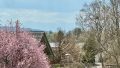 AUSBLICK OBERGESCHOSS