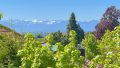 ALPENBLICK