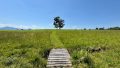 ca. 22.000 m² LAND