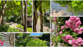 GARTEN-IMPRESSIONEN